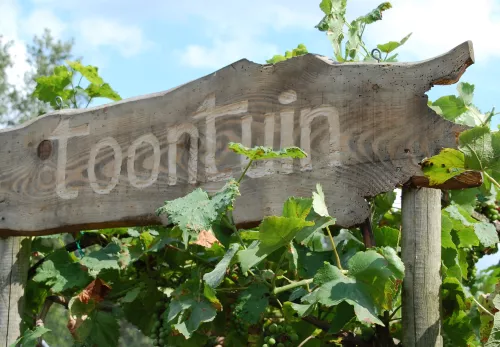 Tuinieren in onze Toon Tuin